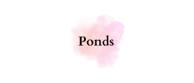 Ponds