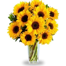High Quality Sunflowers arrangement